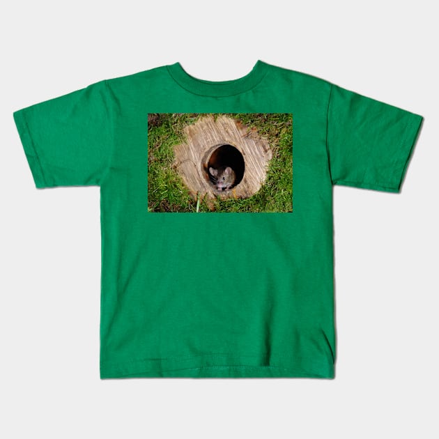 Mouse in a mossey hole Kids T-Shirt by Simon-dell